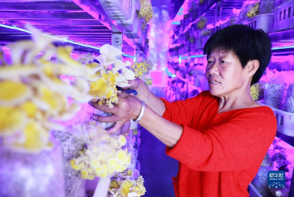 大满贯游戏下载